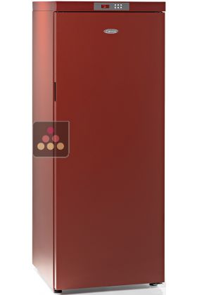 Single-temperature wine cabinet for ageing or service